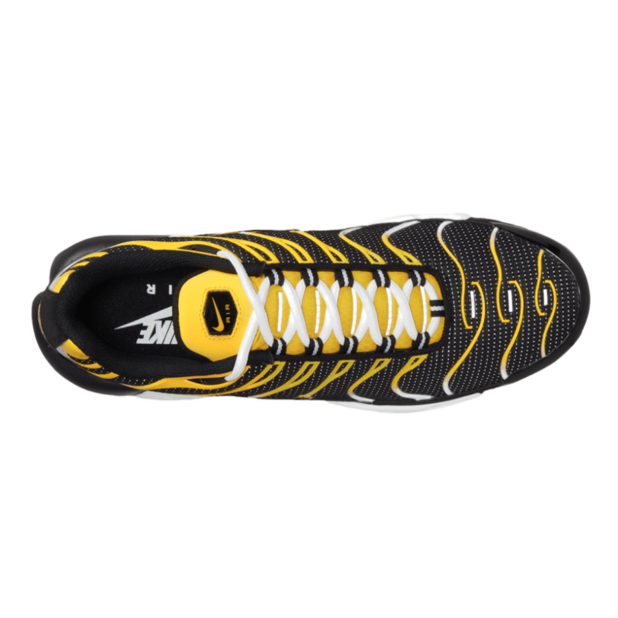 tn black and yellow